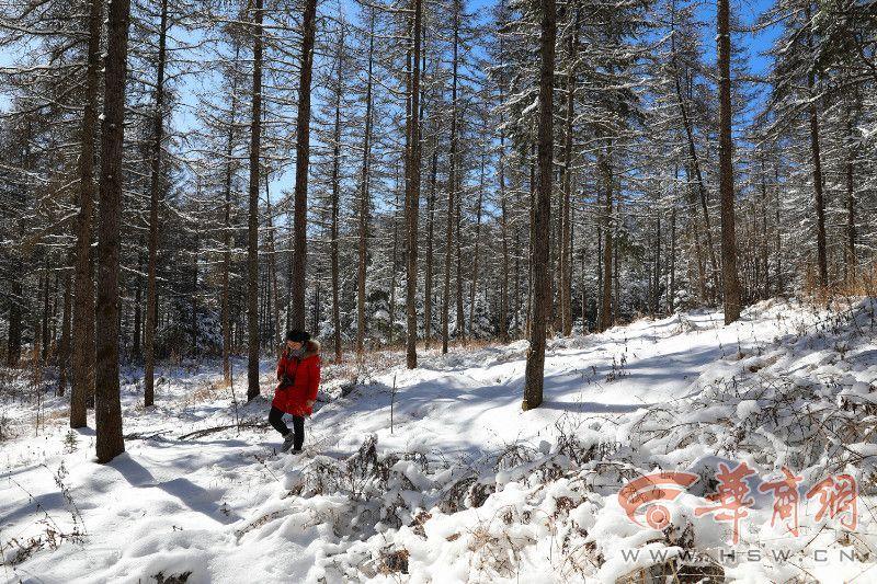 威海迎来雨雪和寒潮大风天气 降温幅度8～9℃