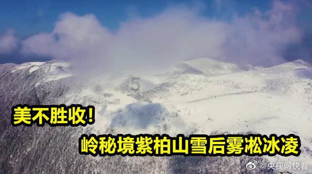照顾可爱小公主