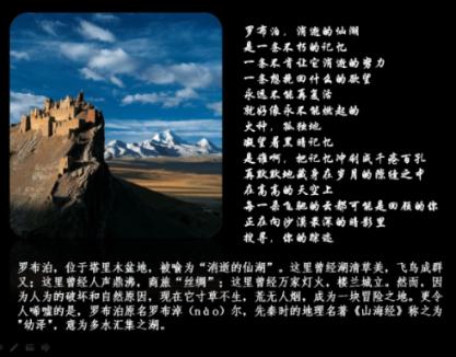 被特朗普支持者当众求婚 黑利：滚出去