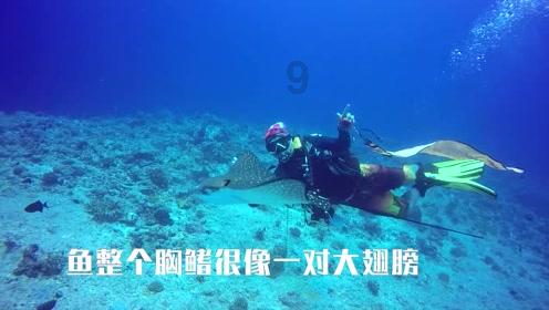 算术消消乐