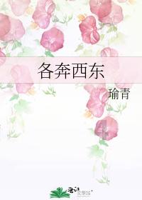 夏日的婚礼