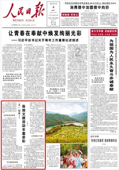 迷雾求生