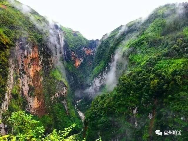 广发真情卡为消费提振贡献“真情力量”
