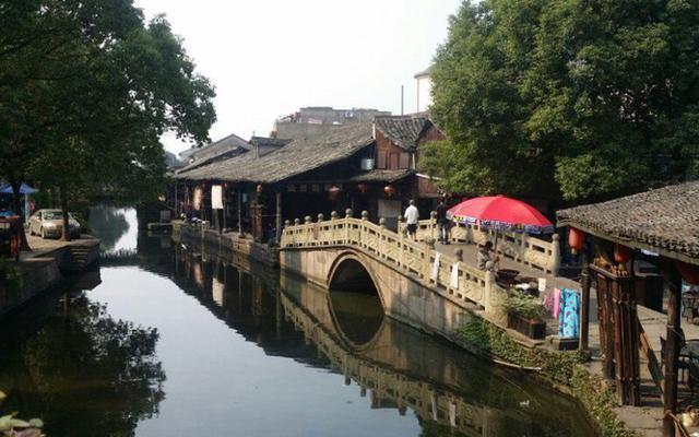 大金狮逃生