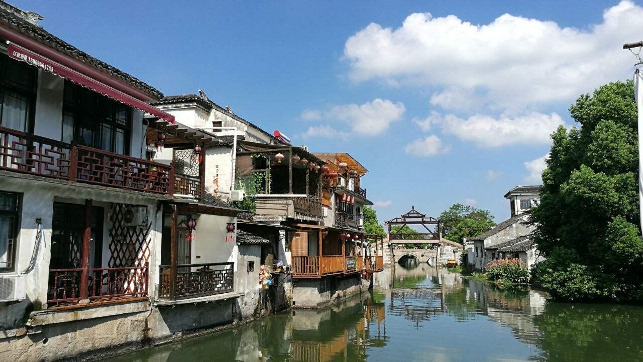 永清:无土水培种植技术促进农业提质增效