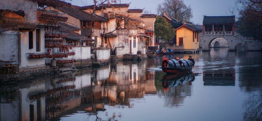 动物帮帮忙保卫家园