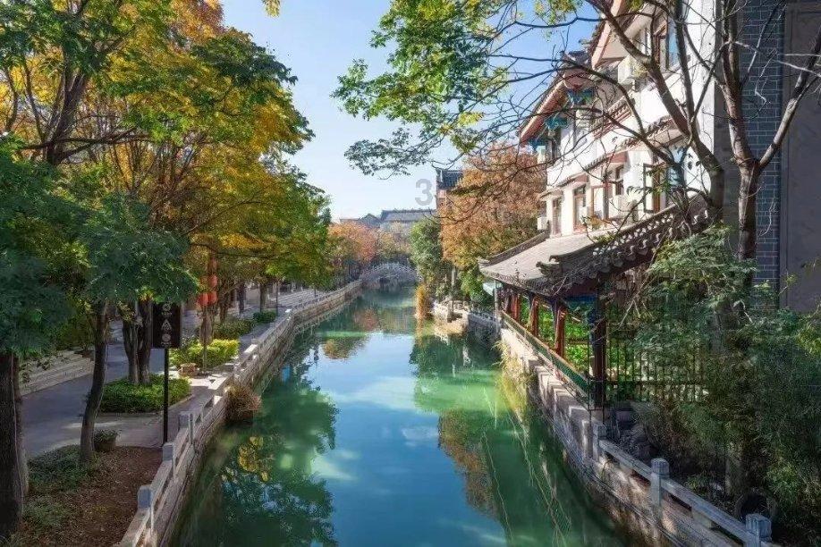 “空气香甜女”杨舒平：美国驱逐她，韩国不收她，中国企业不要她