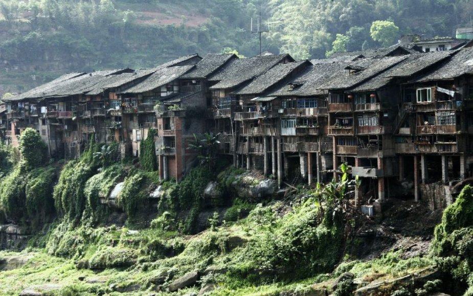 动物帮帮忙保卫家园