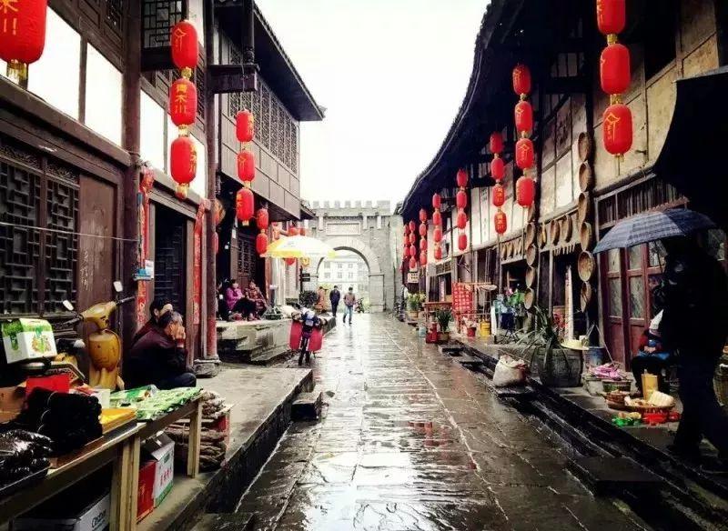 救援贪玩的大象
